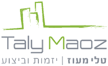 לוגו טלי מעוז פרויקטים